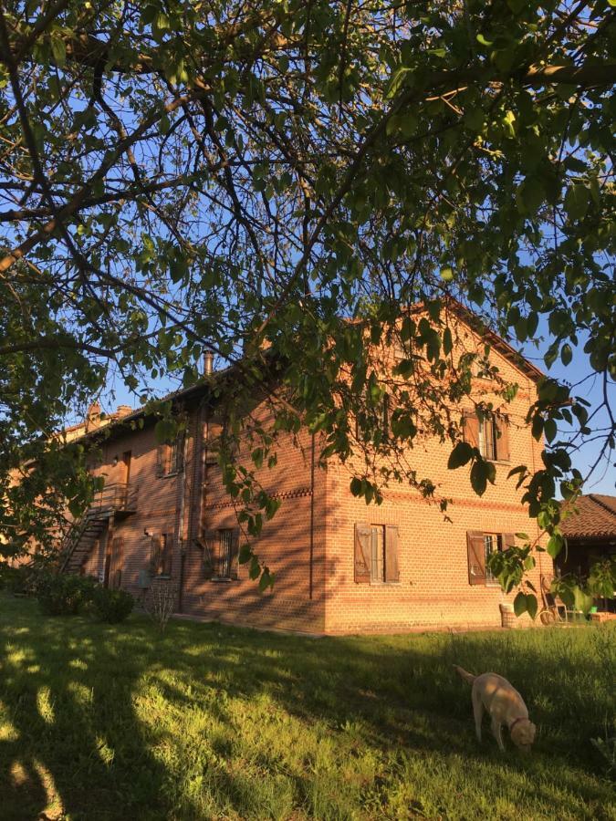 Bed & Breakfast Il Mio Gelso Villanova d'Asti Luaran gambar
