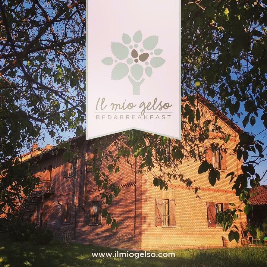 Bed & Breakfast Il Mio Gelso Villanova d'Asti Luaran gambar