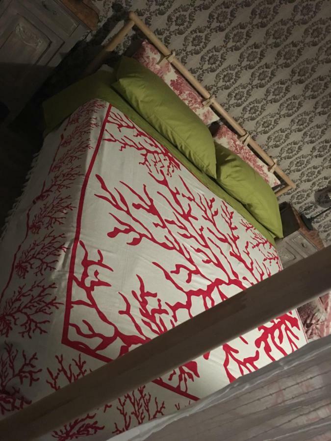 Bed & Breakfast Il Mio Gelso Villanova d'Asti Luaran gambar